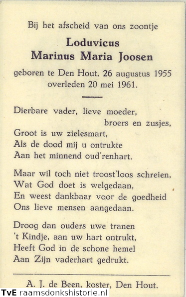 Loduvicus Marinus Maria Joosen