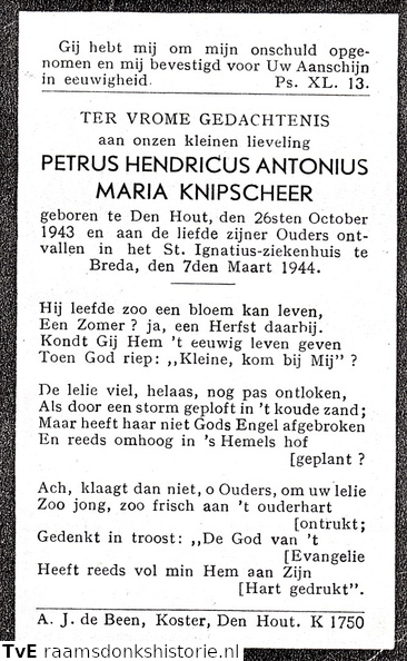 Petrus Hendricus Antonius Maria Knipscheer