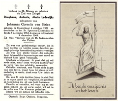 Dimphena Antonia Maria Lodewijks Johannes Cornelis van Strien