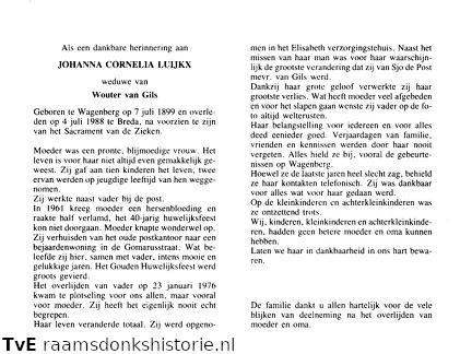 Johanna Cornelia Luijkx Wouter van Gils