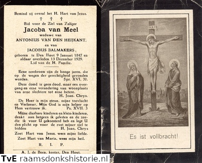 Jacoba van Meel Antonius van den Heijkant  Jacobus Balmakers
