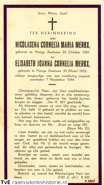 Nicolasena Cornelia Maria Merkx