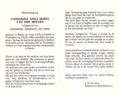 Catharina Anna Maria van der Meulen Johannes Henricus de Jong