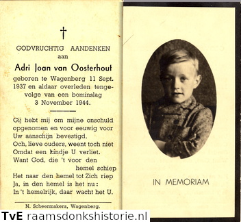 Adri Joan van Oosterhout