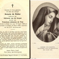 Antonia de Ridder Adrianus van de Corput Franciscus Johannes de Vree