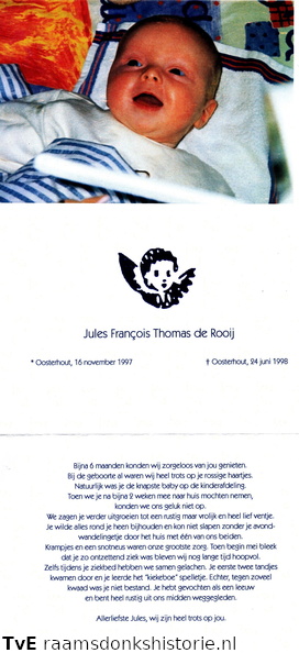 Jules Francois Thomas de Rooij