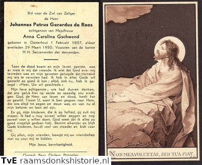 Johannes Petrus Gerardus de Roos Anna Carolina Gschwend