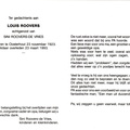 Louis Roovers Sini de Vries