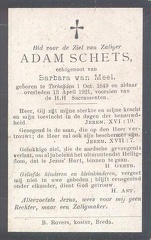 Adam Schets Barbara van Meel
