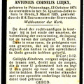 Johanna Cornelia Schoenmakers Antonius Cornelis Luijkx