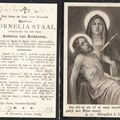 Cornelia Staal Antonius van Beckhoven