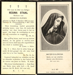 Regina Staal Henricus Flipsen