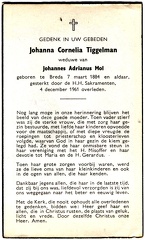 Johanna Cornelia Tiggelma Johannes Adrianus Mol