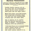 Johannes Wilhelmus Hubertus Martinus Timmermans