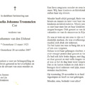 Cornelia Johanna Trommelen Johannes van den Elshout