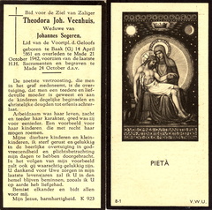 Veenhuis, Theodora Johanna Johannes Segeren