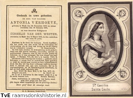 Antonia Verhoeve  Cornelis van der Westen