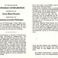Adrianus Verwijmeren  Anna Maria Nuyten  Johanna Cornelia Pellenaars
