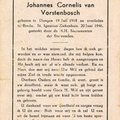 Johannes Cornelis van Vorstenbosch 