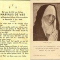 Marinus de Wijs
