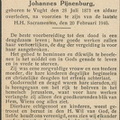 Wilhelmina Johanna Witlox  Johannes Pijnenburg