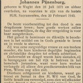 Wilhelmina Johanna Witlox Johannes Pijnenburg