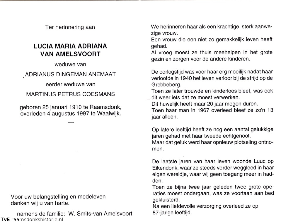 Lucia Maria Adriana van Amelsvoort- Adrianus Dingeman Anemaat- Martinus Petrus Coesmans
