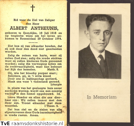 Albert Antheunis