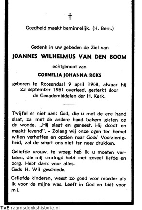 Joannes Wilhelmus van den Boom Cornelia Johanna Roks