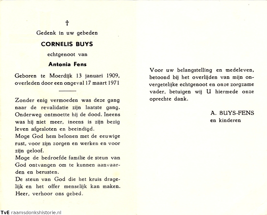 Cornelis Buys Antonia Fens