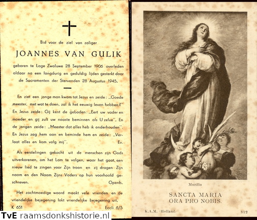 Joannes van Gulik