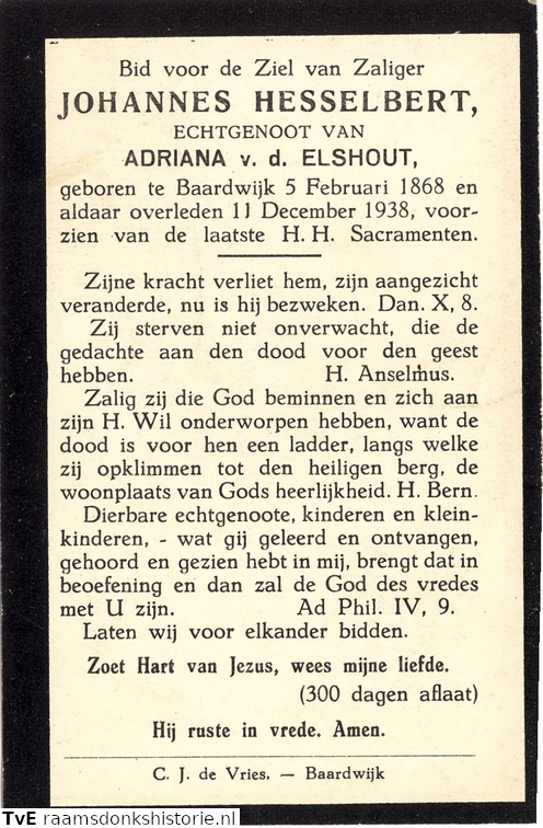 Johannes Hesselbert Adriana van den Elshout