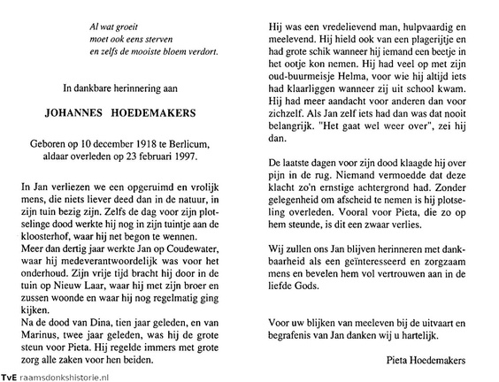 Johannes Hoedemakers, 