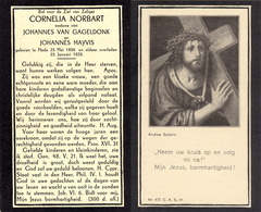 Cornelia Norbart- Johannes van Gageldonk- Johannes Mayvis