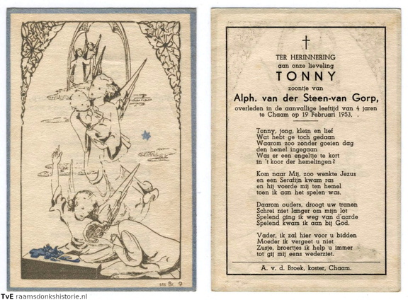 Tonny van der Steen